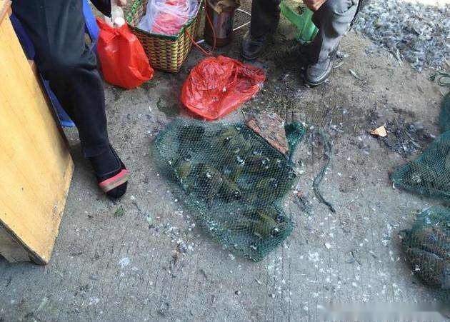 洪亮应邀为驻华使节作篆刻讲座|三亿体育