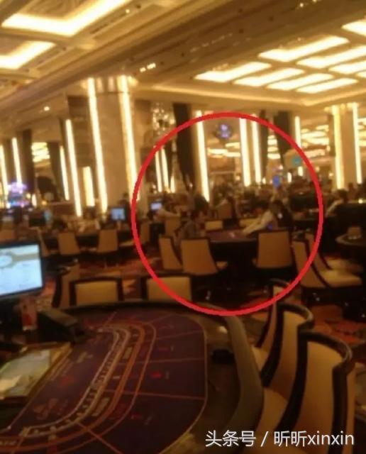 
	<h1>连接教学和社会公益的桥梁_三亿体育官网