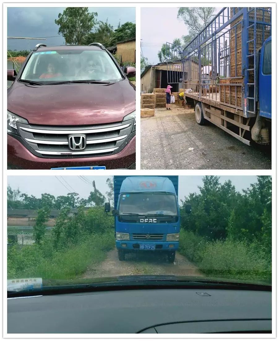 【三亿体育手机版】奥运藏品掀起热风作者:流云2012-06-0215:36:09来源:随着2012伦敦奥运会的临近,关于奥运题材的藏品越来(图2) 三亿体育