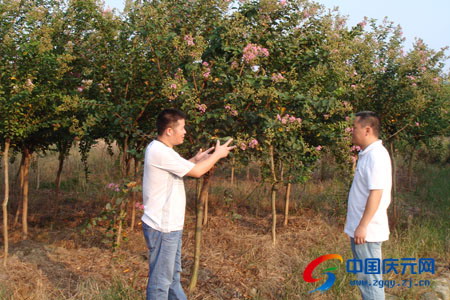 沙场秋练兵,这些“小鲜肉”、“小姐姐”全力以赴的样子真帅!_三亿体育手机版(图2) 三亿体育
