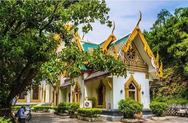 普京认怂！俄罗斯突然从叙撤军狠狠玩了美帝一把_三亿体育手机版