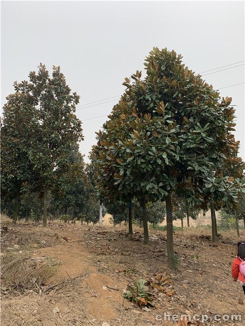 湖北邮政持续推进绿色包装工程‘三亿体育官网’(图1) 三亿体育