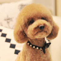 【三亿体育手机版】快递:漏网之鱼将身陷囹圄?(图1) 三亿体育