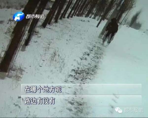 博物馆:传统的未来【三亿体育官网】(图2) 三亿体育