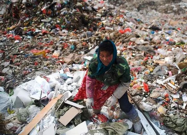 三亿体育手机版